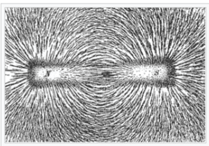 What are magnetic lines of deals force