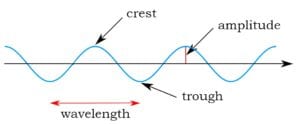 wavelength, amplitude, crest, trough