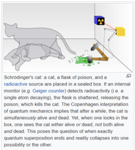 quantum mechanics cat experiment